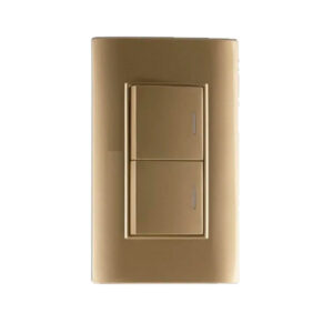 Interruptor Doble Dorado (INT102) – Uyustools
